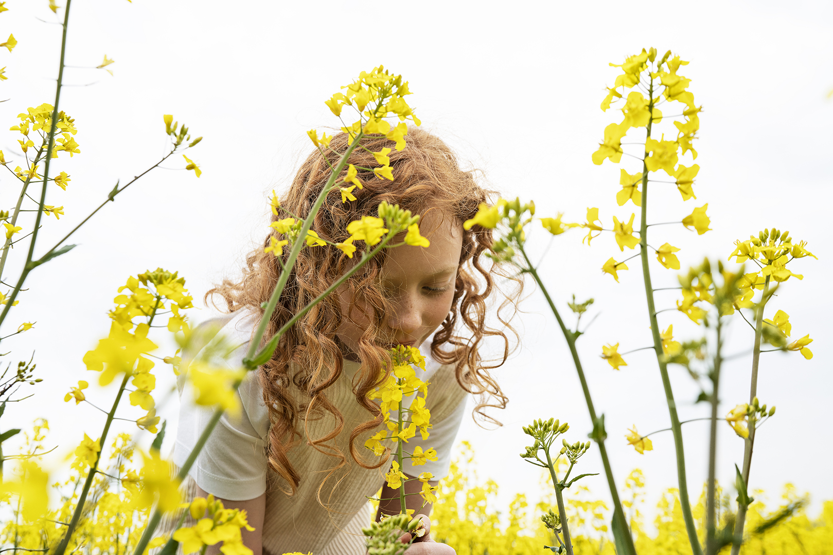 DrugfreeRelease_ScandicLife136