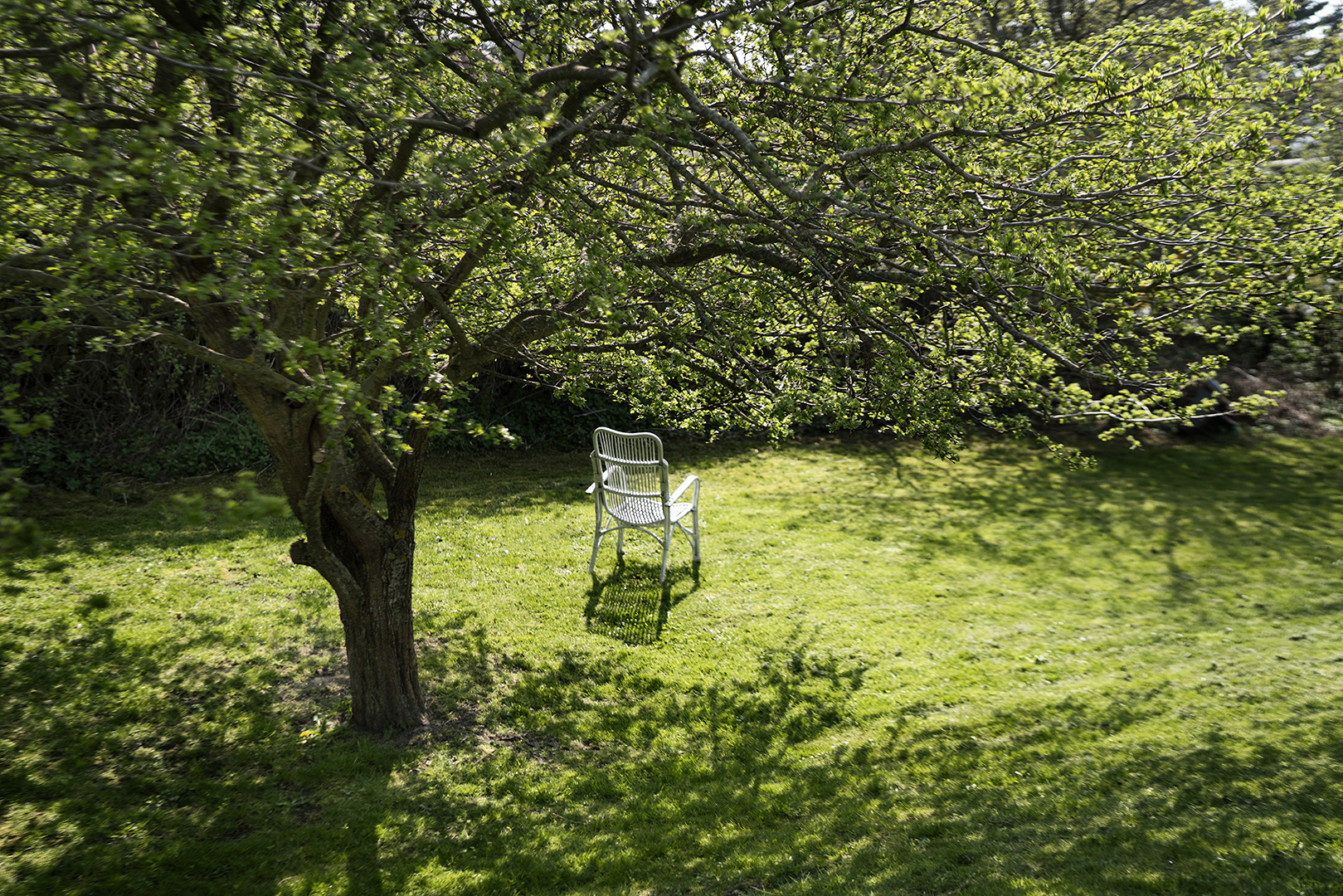 DrugfreeRelease_Scandiclife153_