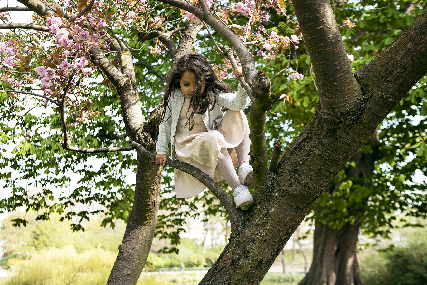 DrugfreeRelease_Scenarios14