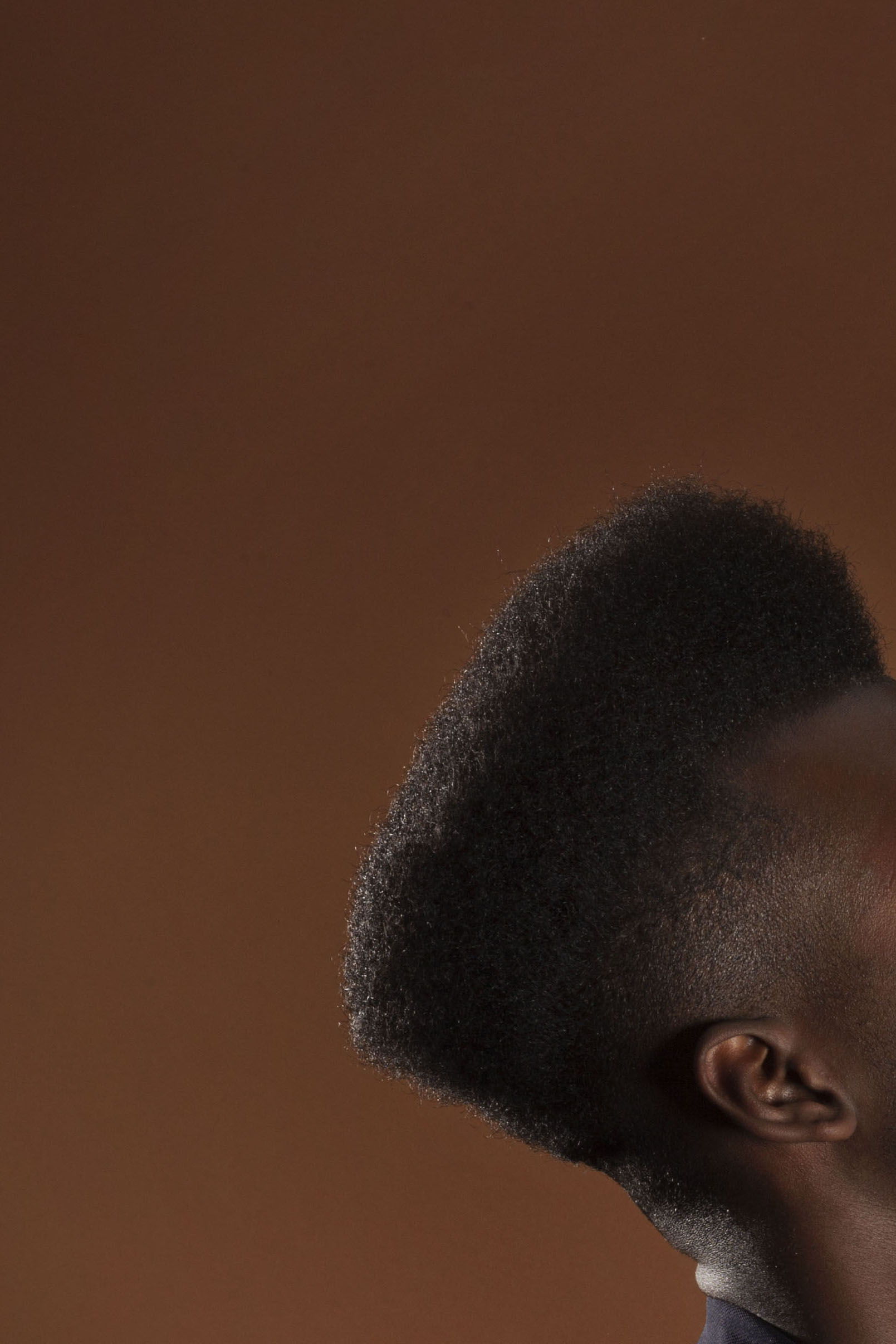 Prince_Afro copy