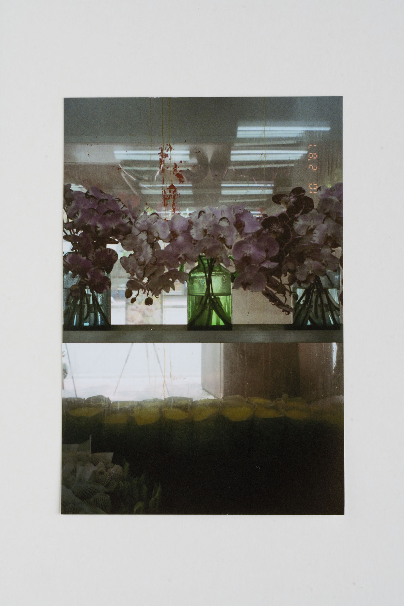 Snapshots_10