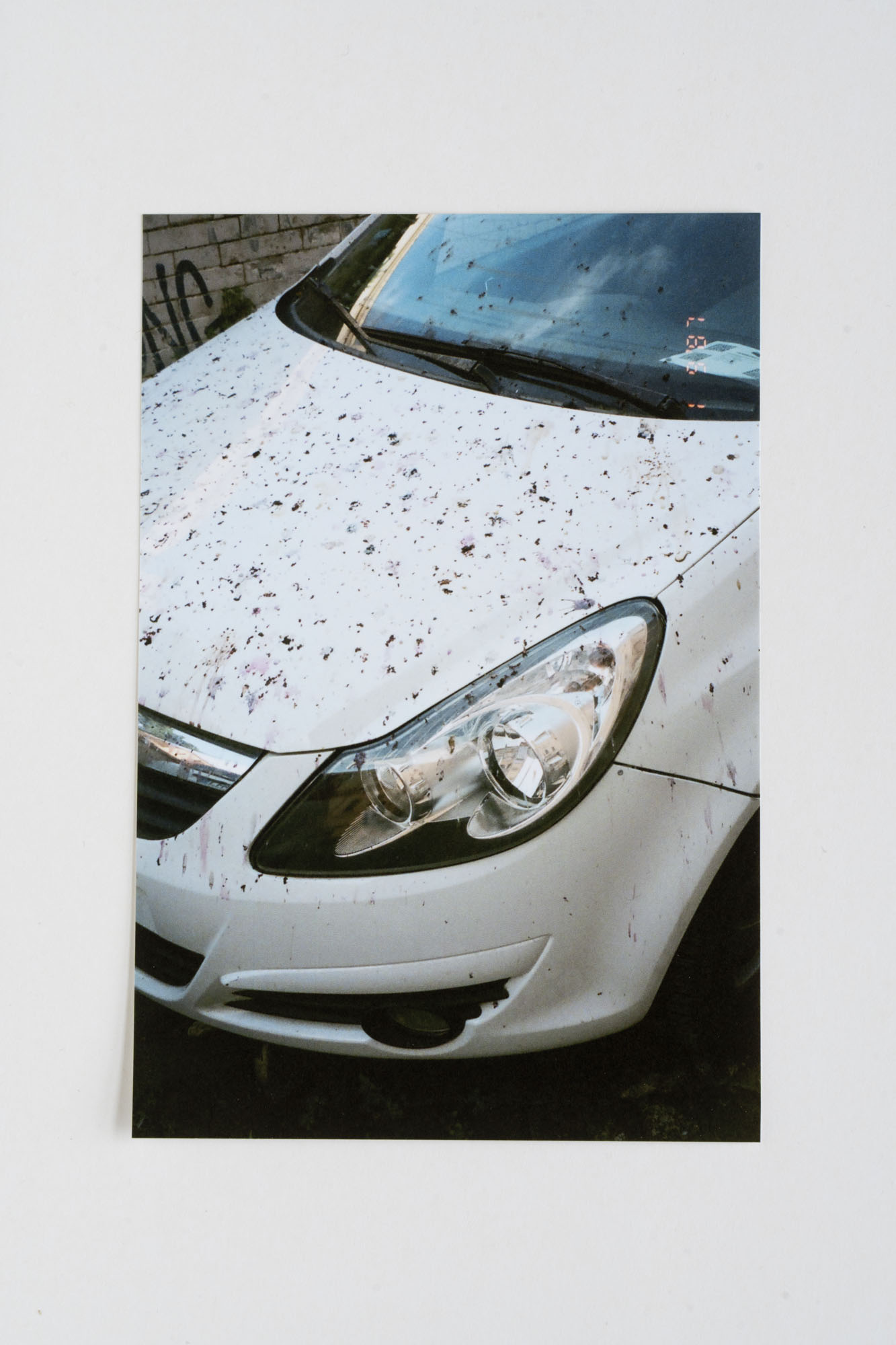Snapshots_3