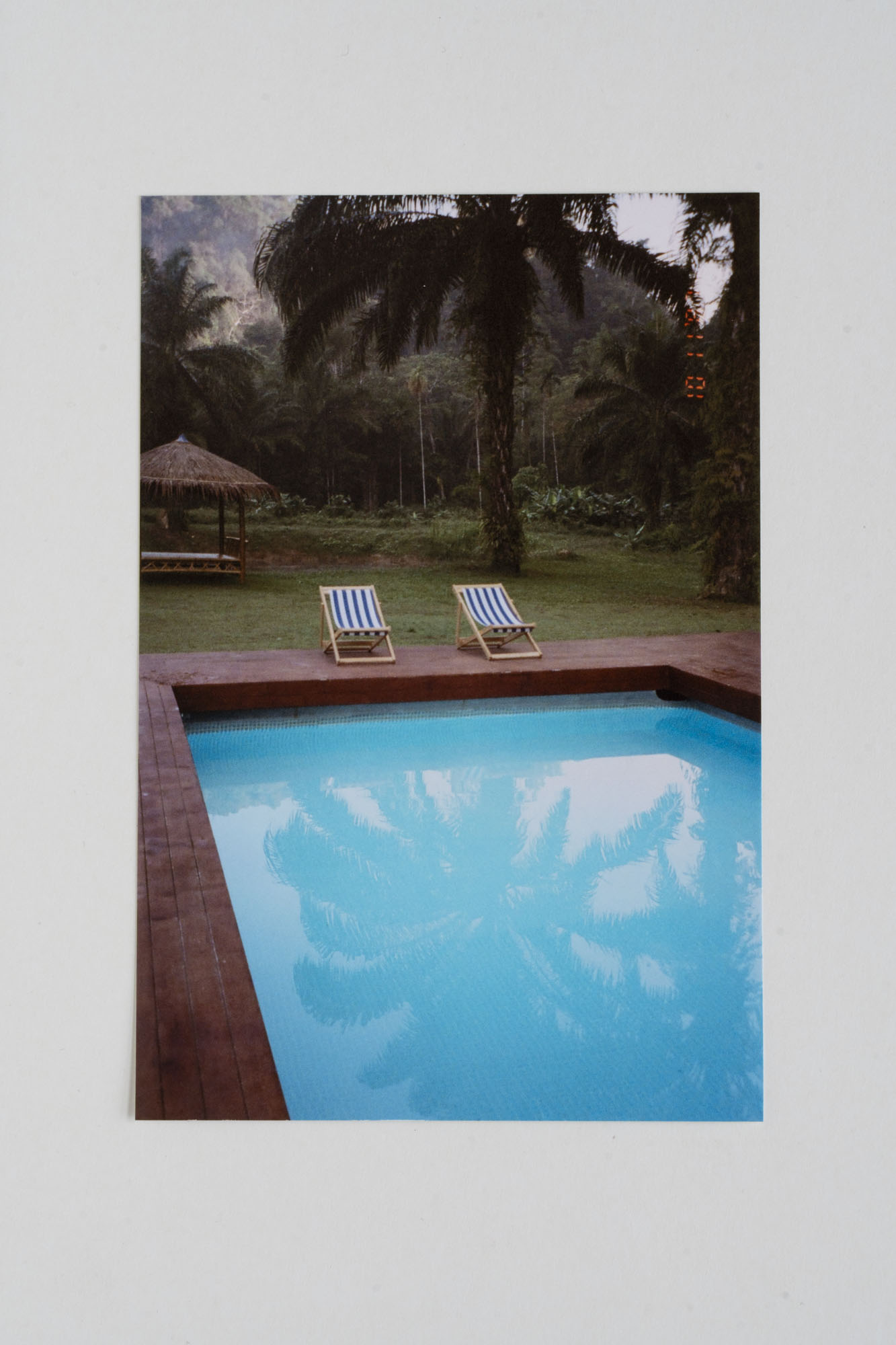 Snapshots_6