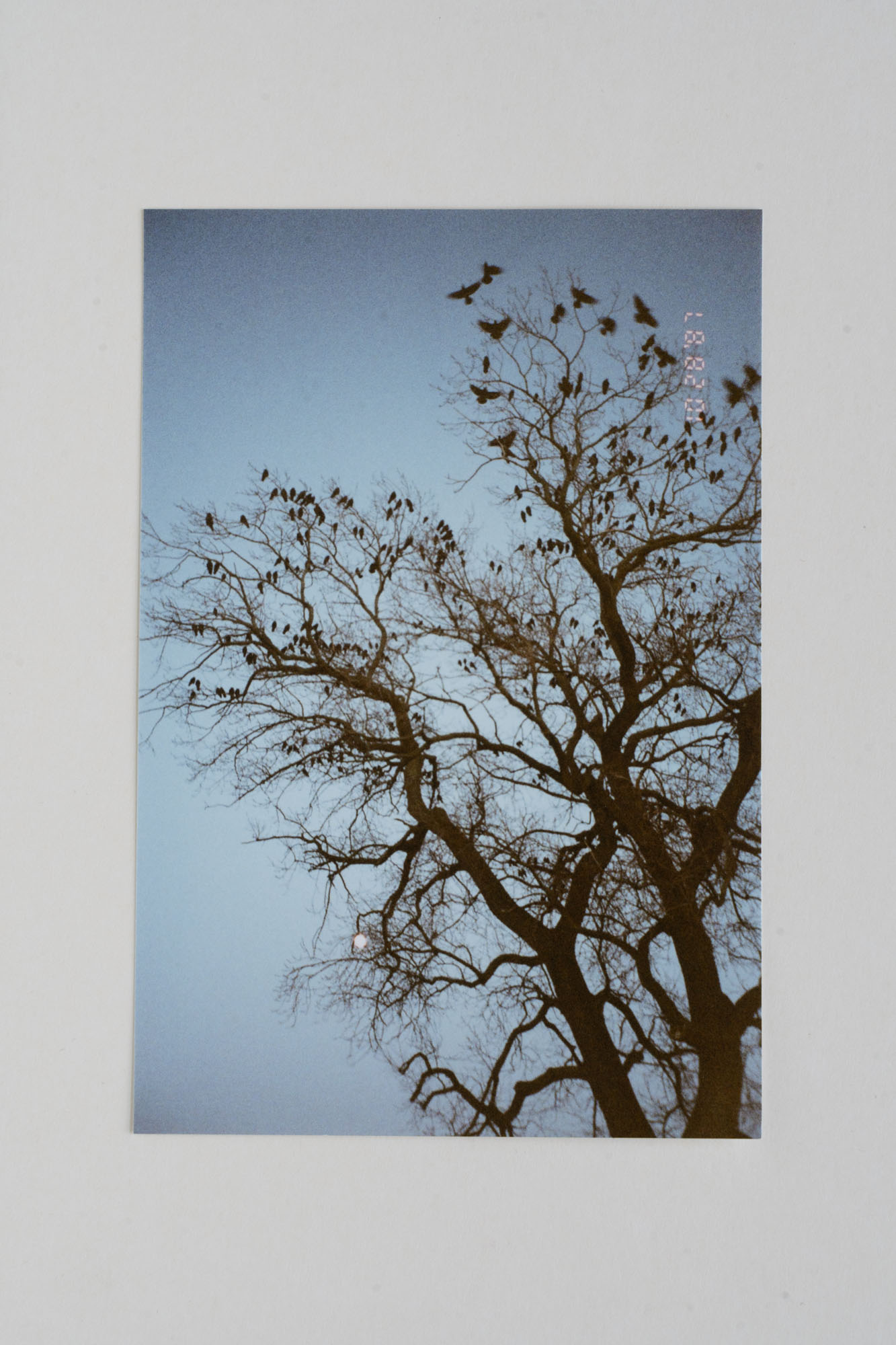 Snapshots_8